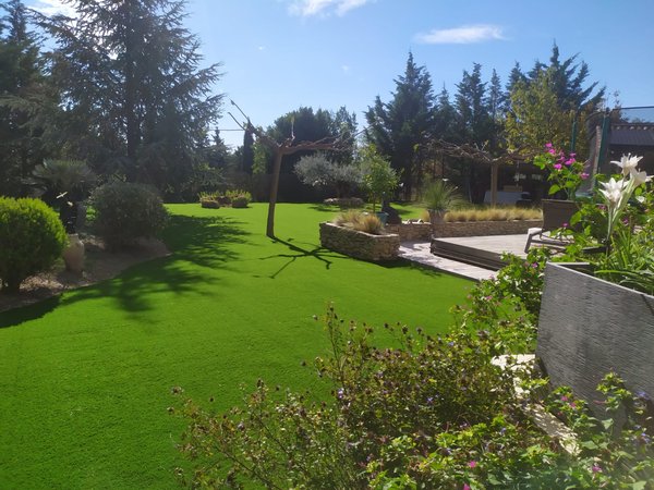 Comment créer un jardin de plantes médicinales dans un espace restreint ?